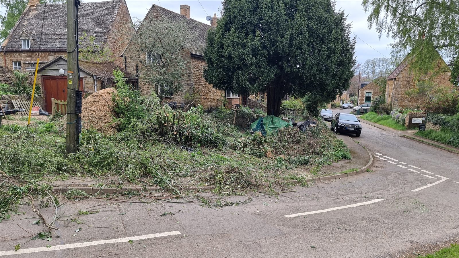Cut branches and cleared vegetation across the front garden during the clearance stage.